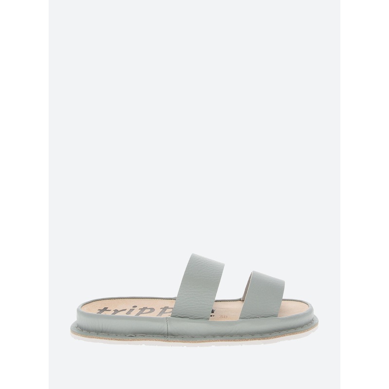 Zori Lehmann ANISE WAW 37